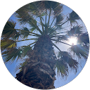 ThaNicks profielfoto